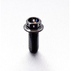Vis Racing Titane M8x1.25-20 mm Noir - PRO-BOLT PBO_TIHX820RBK PRO-BOLT
