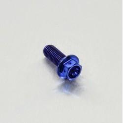 Vis Racing Titane M8x1.25-20 mm Bleu - PRO-BOLT TIHX820RB PRO-BOLT