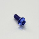 Vis Racing Titane M8x1.25-20 mm Bleu - PRO-BOLT TIHX820RB PRO-BOLT