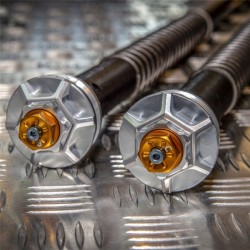 Kit cartouche hydraulique réglable pour fourche Showa 41 - Suzuki RGV 250 - VJ22 - ANDREANI AND_105/S10E ANDREANI Group Inter...