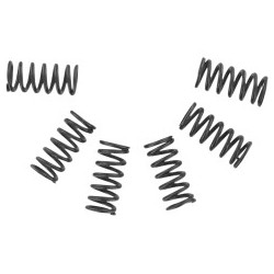 Ressorts d'embrayage renforcés - Aprilia 125 / Rotax 122/123 - EBC Brakes EBC_CSK2 EBC