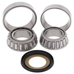 Pack de 2 roulements de colonne de direction Aprilia RS 250 - ALL BALLS ALL_22-1046 ALL BALLS RACING