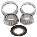 Pack de 2 roulements de colonne de direction Aprilia RS 250 - ALL BALLS ALL_22-1046 ALL BALLS RACING