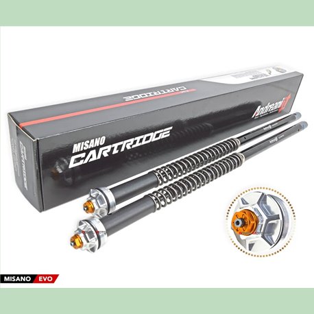 Kit cartouche hydraulique réglable - Aprilia RS 250 Mk2 - ANDREANI AND_105/A08E Andreani Group International