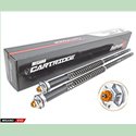 Kit cartouche hydraulique réglable - Aprilia RS 250 Mk2 - ANDREANI AND_105/A08E Andreani Group International