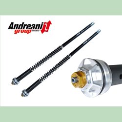 Kit cartouche hydraulique réglable - Aprilia RS 250 Mk2 - ANDREANI AND_105/A08E Andreani Group International