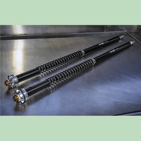 Kit cartouche hydraulique réglable pour fourche d'origine - MISANO EVO - Suzuki RG 500 - ANDREANI AND_ 105/S12E Andreani Grou...
