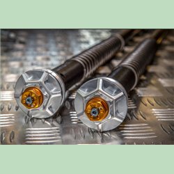 Kit cartouche hydraulique réglable pour fourche d'origine - MISANO EVO - Suzuki RG 500 - ANDREANI AND_ 105/S12E Andreani Grou...