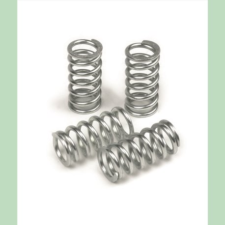 Ressorts d'embrayage renforcés - Aprilia RS 250 / Suzuki RGV 250 - TRW