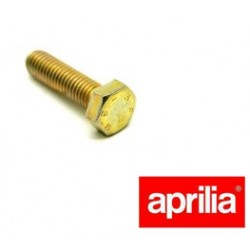 Vis de culasse (M8x30) pour Aprilia 125 - Pièce d'origine APRILIA OEM APR_AP0940481. Aprilia OEM