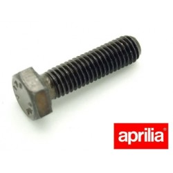 Vis de culasse (M8x30) pour Aprilia 125 - Rotax 122 - 1995 - Pièce d'origine APRILIA OEM APR_AP0940485. Aprilia OEM