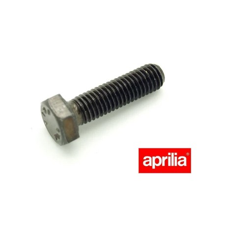 Vis de culasse (M8x30) pour Aprilia 125 - Rotax 122 - 1995 - Pièce d'origine APRILIA OEM APR_AP0940485. Aprilia OEM