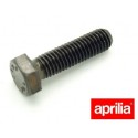Vis de culasse (M8x30) pour Aprilia 125 - Rotax 122 - 1995 - Pièce d'origine APRILIA OEM APR_AP0940485. Aprilia OEM
