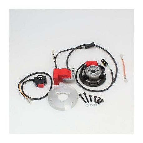 Allumage Selettra digital à avance variable - Double Map - Rotor Ø 58 mm - Aprilia 125 / Rotax 123 - ITALKIT ITA_EV2.01.25 IT...