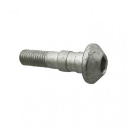 Axe de pédale de frein AR pour Aprilia 50 / 125- Rotax 122 & 123 - APRILIA OEM APR_AP8121284 Aprilia OEM