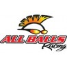 ALL BALLS RACING
