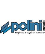 Polini