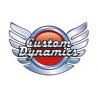 CUSTOM DYNAMICS